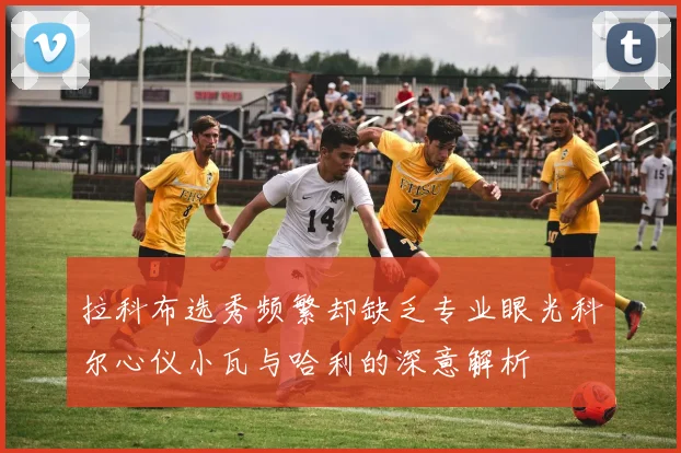 拉科布选秀频繁却缺乏专业眼光科尔心仪小瓦与哈利的深意解析